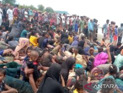 Perkampungan di Pidie, Aceh diserbu oleh 220 imigran Rohingya