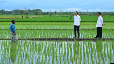 Aktivis Papua Desak Penghentian Proyek Satu Juta Hektar Sawah di Merauke